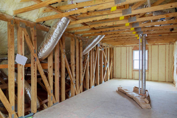 Best Insulation Contractor Near Me  in Hallettsville, TX