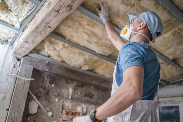 Professional Insulation Contractor in Hallettsville, TX