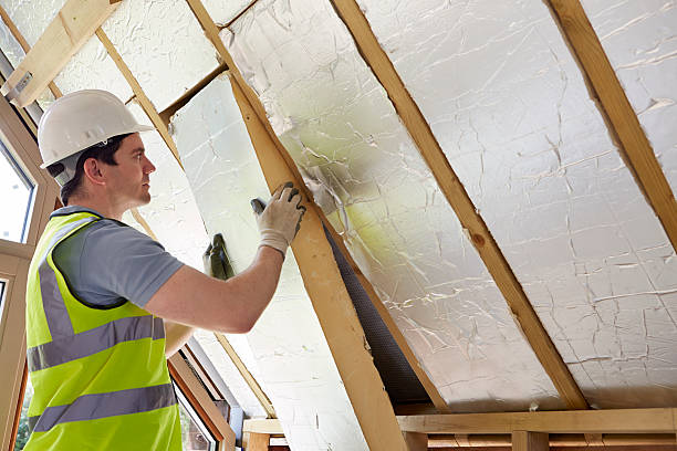 Best Commercial Insulation Contractor  in Hallettsville, TX