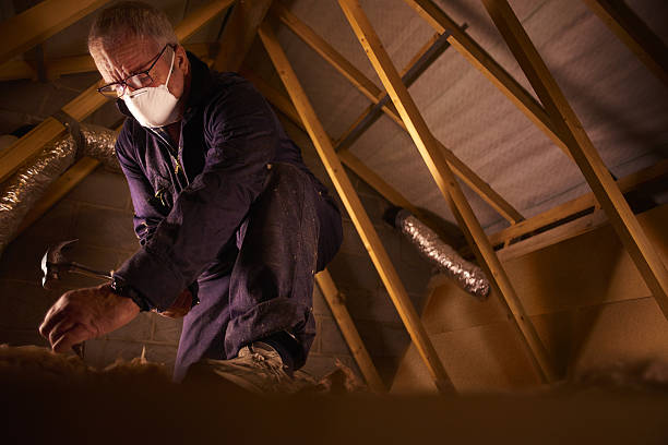 Best Insulation Repair Services  in Hallettsville, TX