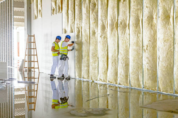 Best Commercial Insulation Contractor  in Hallettsville, TX